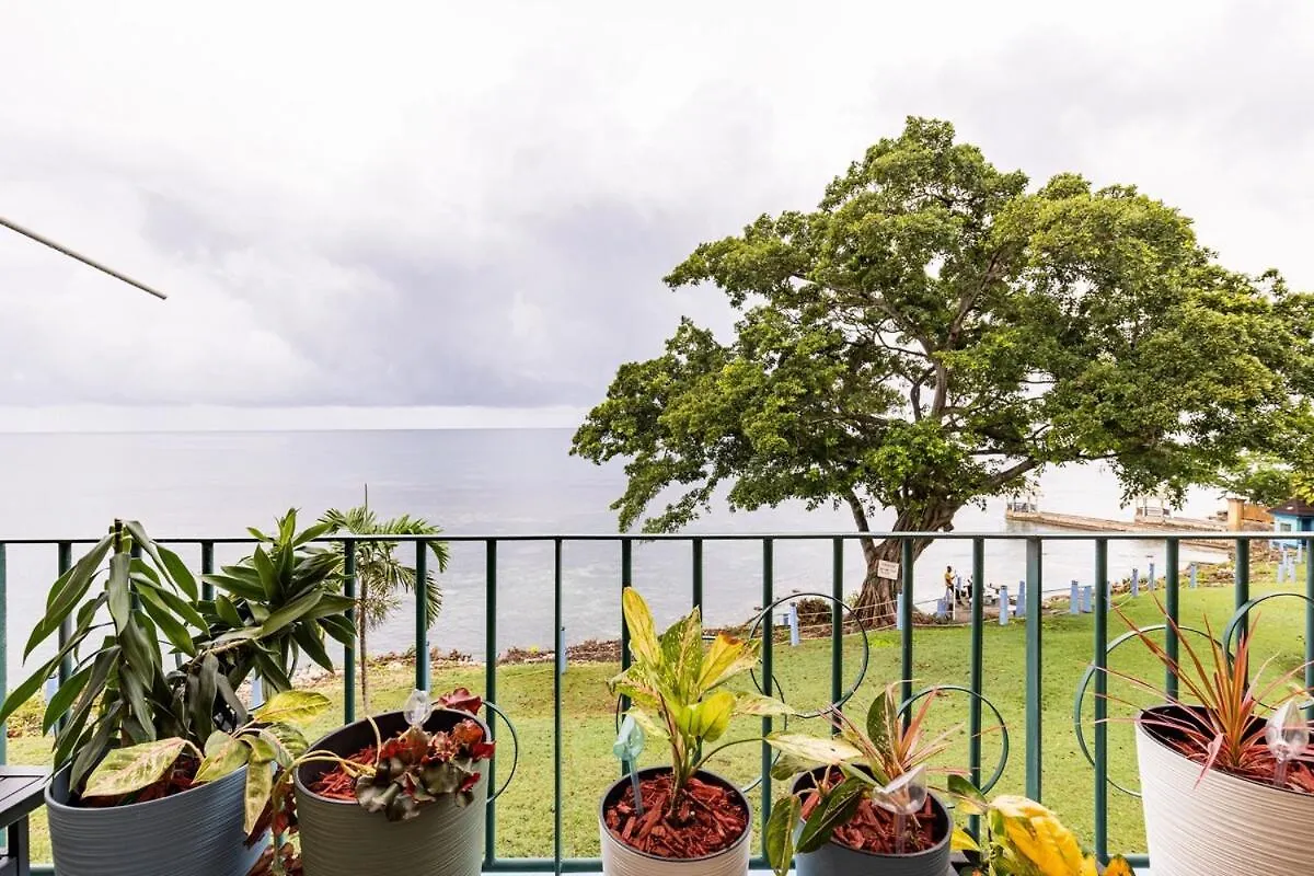 אוצ'ו ריוס Modern Beachfront Condo with Stunning Sea Views ג'מייקה